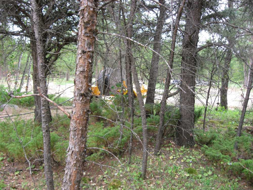 Naturist Legacy History: Gallery 16/03...The park finally has electricity