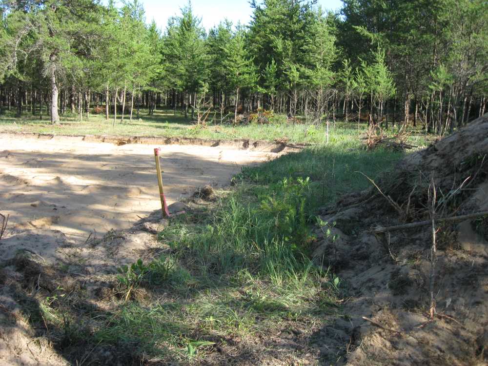 Naturist Legacy History: Gallery 21/03...New volleyball court takes shape