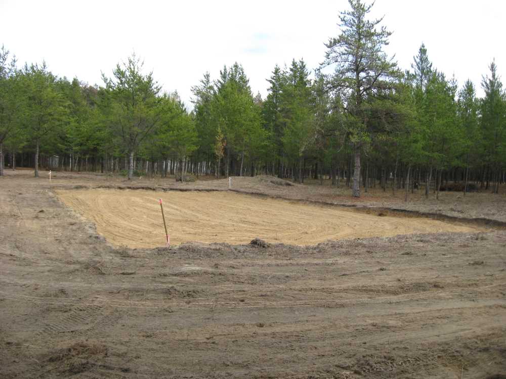 Naturist Legacy History: Gallery 21/10...New volleyball court takes shape