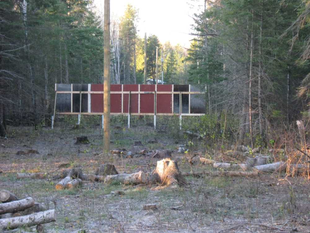 Naturist Legacy History: Gallery 22/06...First year of development ends