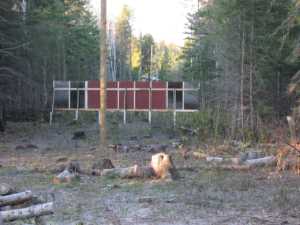 Naturist Legacy History: Gallery 22/06...First year of development ends