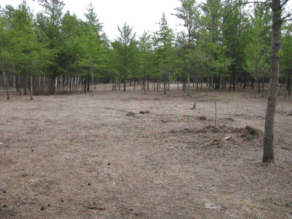 Naturist Legacy History: Gallery 23/09...An early resumption of construction