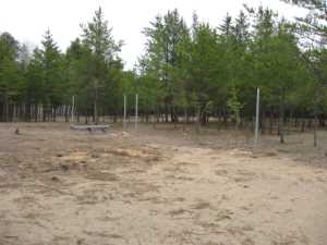 Naturist Legacy History: Gallery 24/09...Building the swimming pool fence