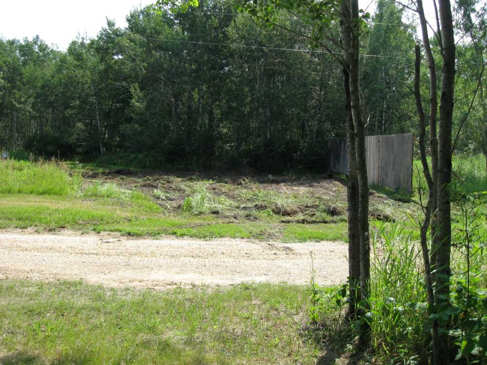 Naturist Legacy History: Gallery 32/01...Front yard receives a makeover