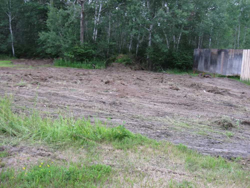 Naturist Legacy History: Gallery 32/05...Front yard receives a makeover