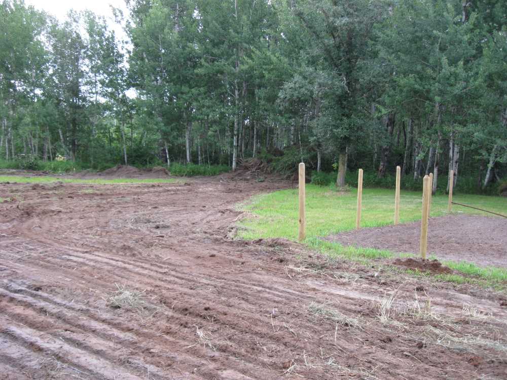 Naturist Legacy History: Gallery 32/08...Front yard receives a makeover