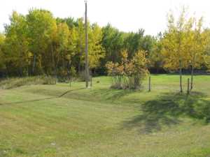 Naturist Legacy History: Gallery 32/11...Front yard receives a makeover