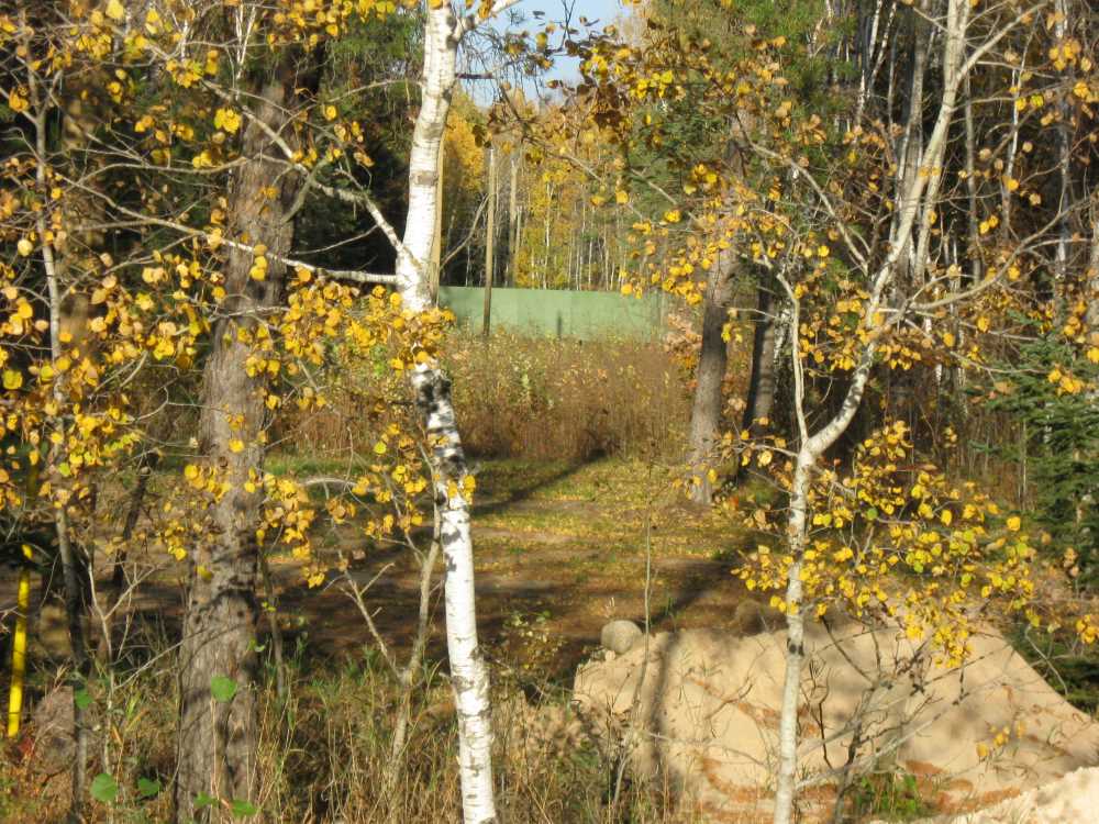 Naturist Legacy History: Gallery 34/21...Smaller projects completed
