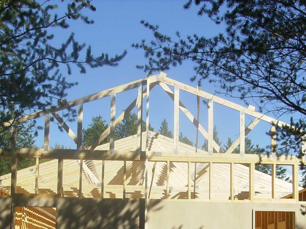 Naturist Legacy History: Gallery 42/11...Raising the clubhouse rafters