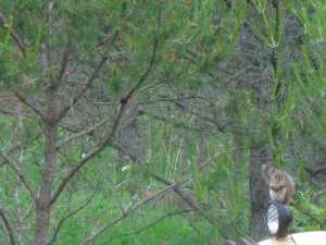 Naturist Legacy History: Gallery 49/11...Miscellaneous uncategorized photos