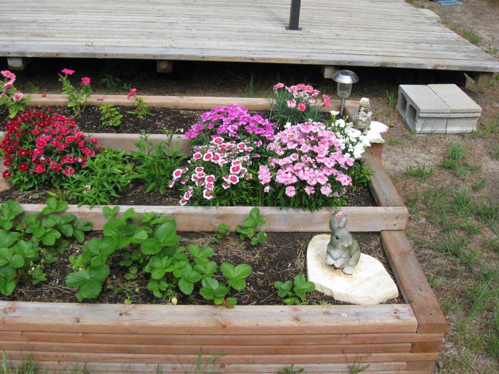 Naturist Legacy History: Gallery 50/11...Our cottage at Naturist Legacy Park