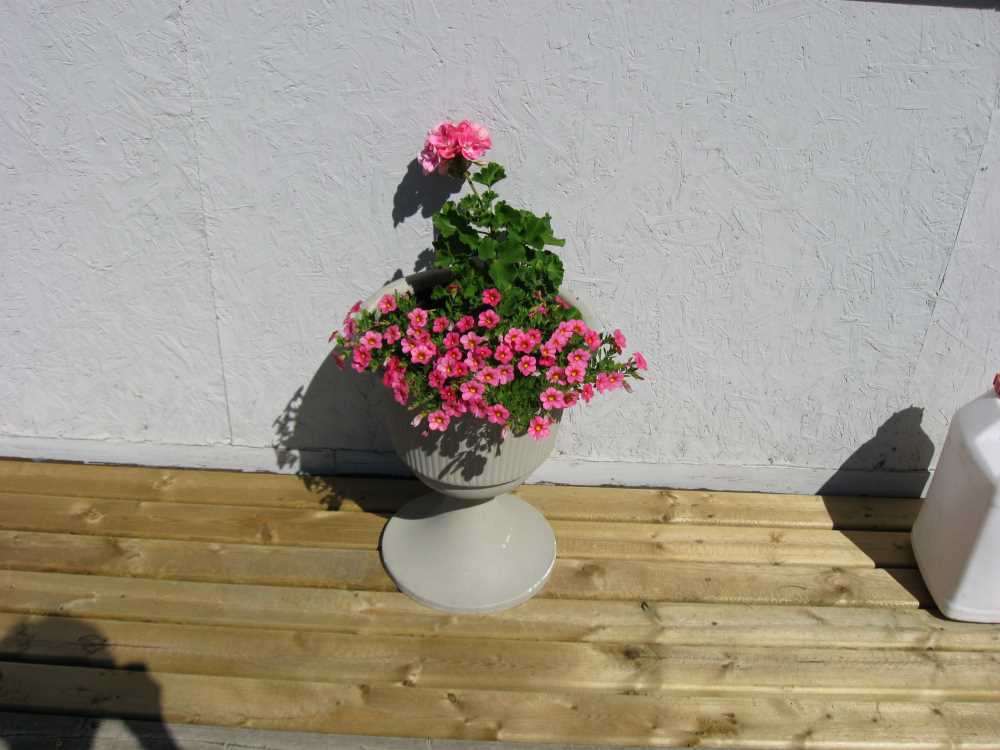 Naturist Legacy History: Gallery 50/19...Our cottage at Naturist Legacy Park