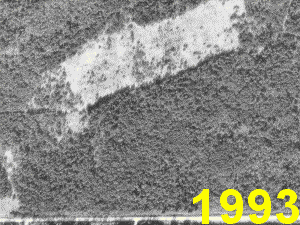 Naturist Legacy History: The land in 1993
