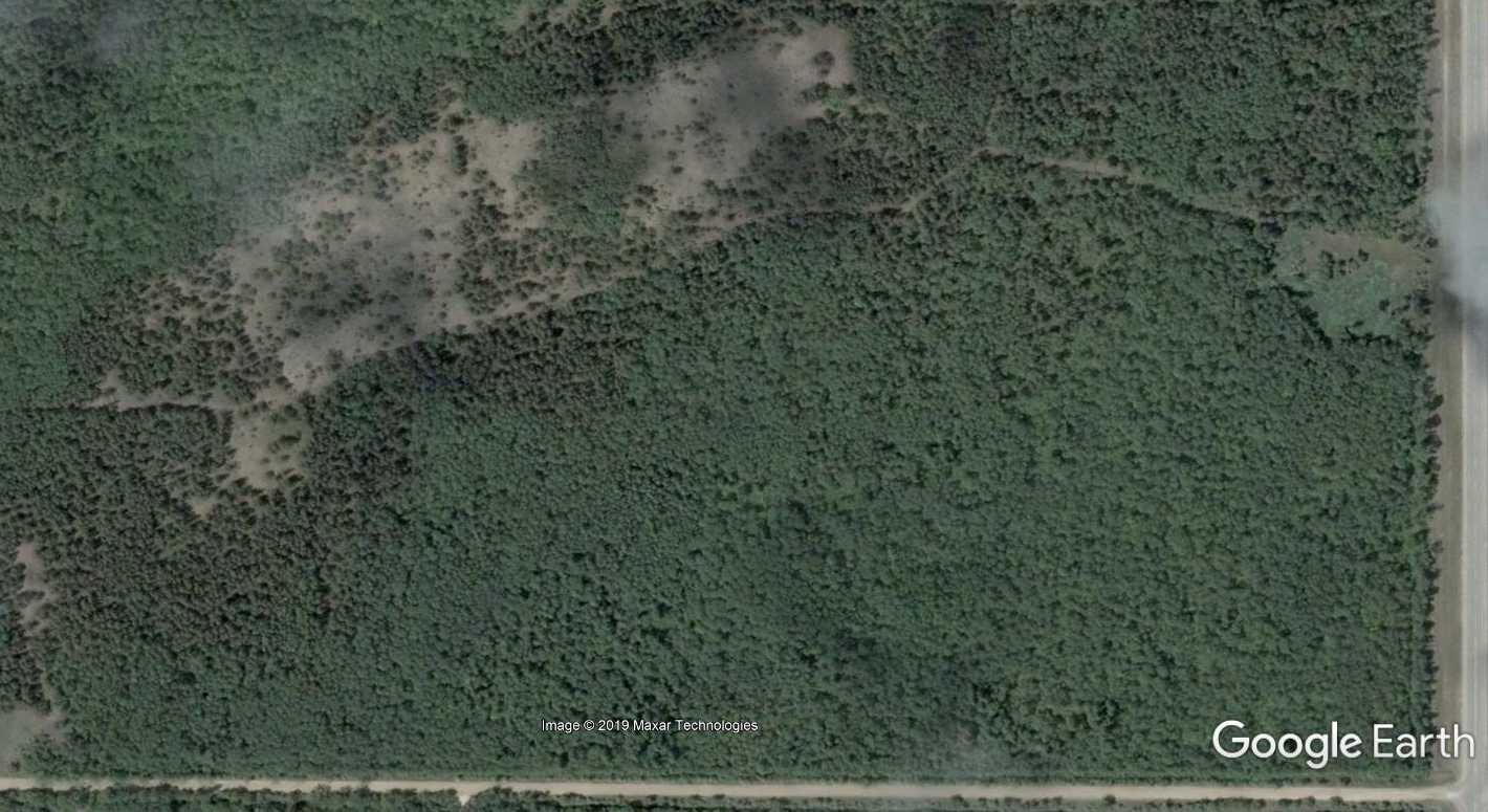 Naturist Legacy History: The land in 2004